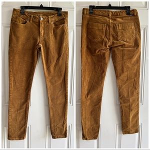 Patagonia Womens Corduroy Pants Size 30
